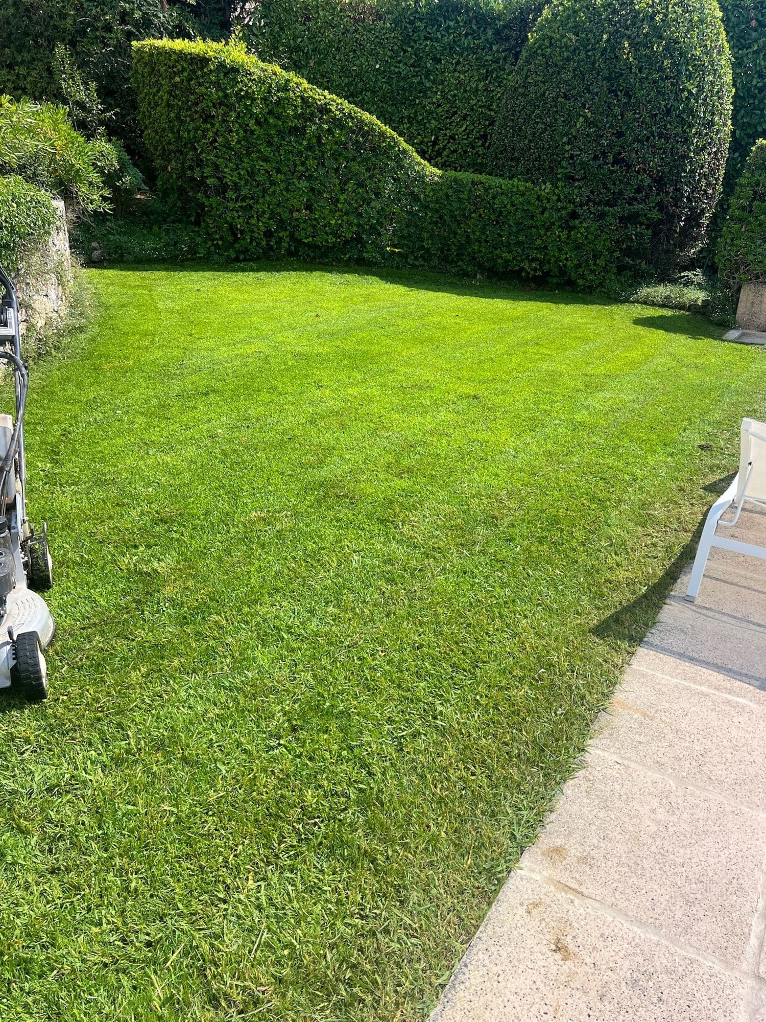 Tonte de pelouse et taille de haies entretien jardin Valbonne