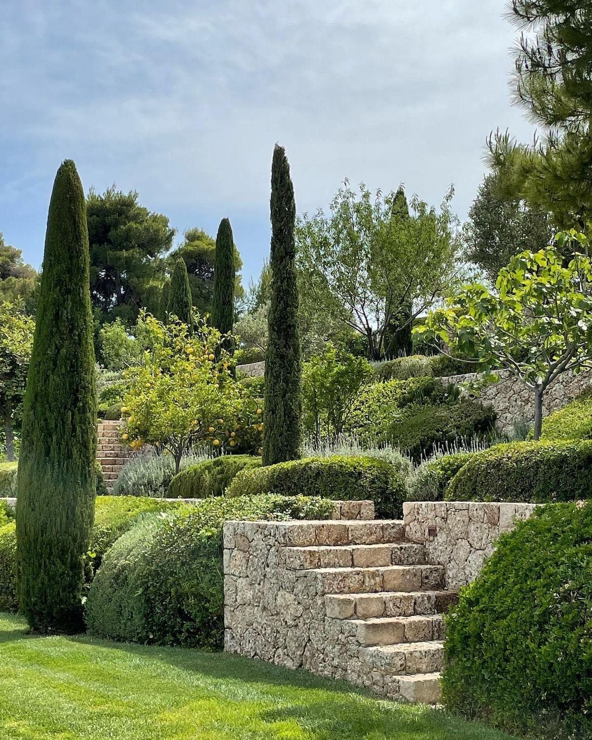 Entretien terrasse végétalisée Antibes